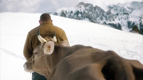 Filmstill aus dem Film «Drii Winter»: Mensch mit Kuh im Schnee