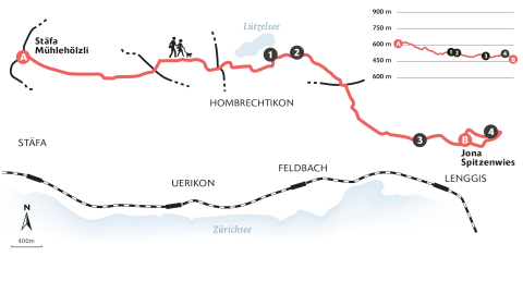 Wanderung Stäfa – Lutikon – Lützelsee – Spitzenwies – Rapperswil-Jona