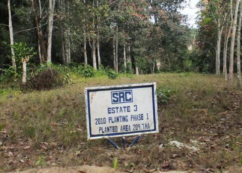 Schild auf der Plantage der Salala Rubber Corporation in Liberia