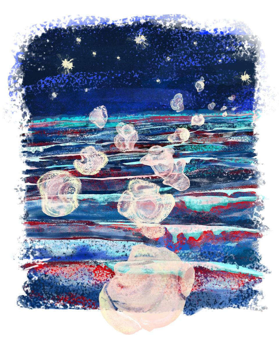 Illustration von Franziska Meyer: Blasen über dem schimmernden Meer in der Nacht