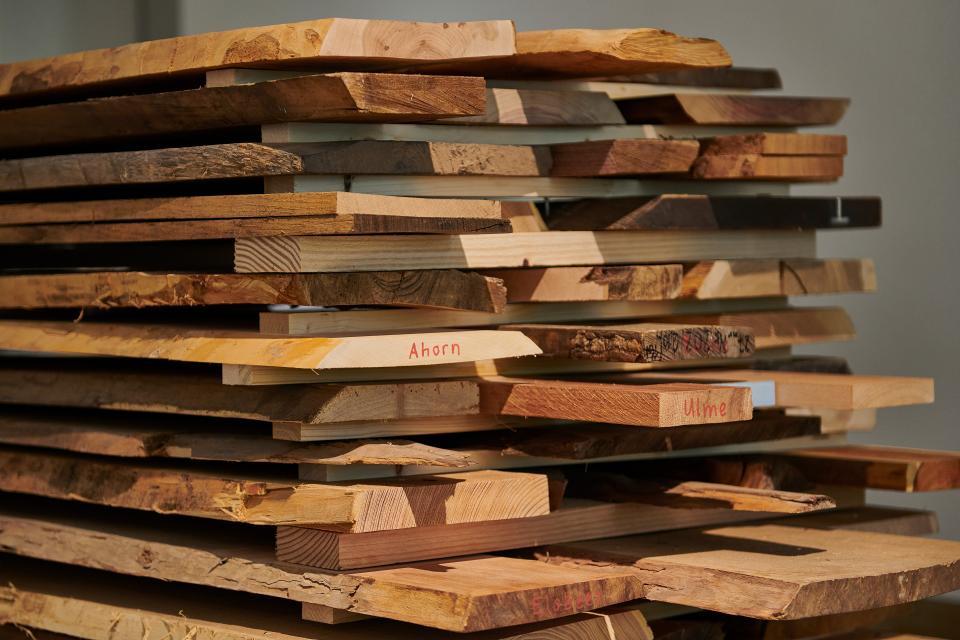 Holzsorten in der Ausstellung «Touch Wood»