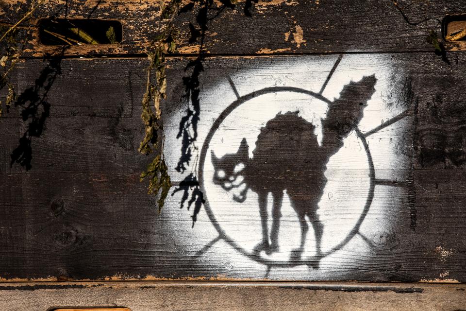 Stencil-Grafik an einer Wand mit Abbildung der schwarzen Katze, einem Symbol des Anarchismus