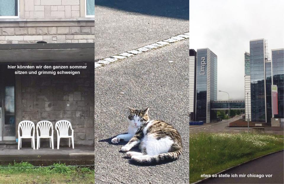 3 Fotos in Kombination: 3 Plastik-Gartenstühle auf einer Terasse (hier könnten wir den ganzen sommer sitzen und grimmig schweigen); eine Katze welche auf einem Gehweg liegt; Gebäude der Empa (etwa so stelle ich mir chicago vor)