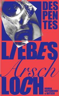Cover des Buches «Liebes Arschloch»