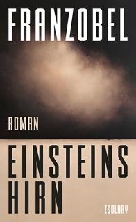 Cover des Buches «Einsteins Hirn»