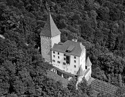 Schloss in Weinfelden TG